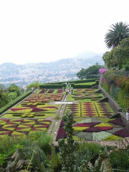 Apartamentos Jardim Funchal  Eksteriør bilde