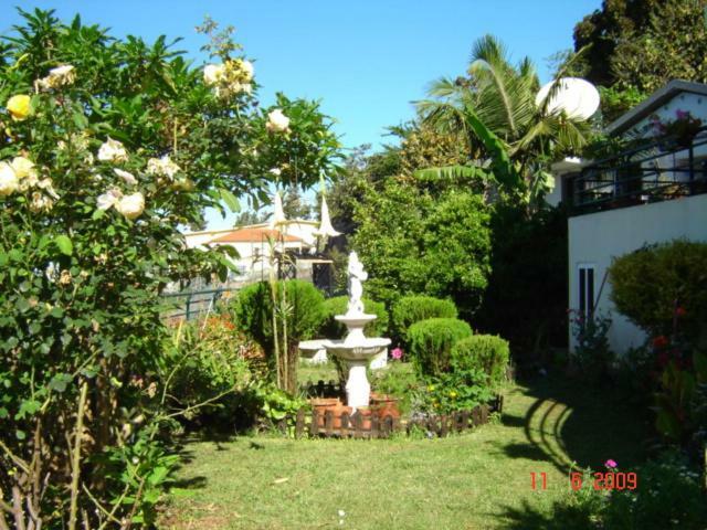 Apartamentos Jardim Funchal  Eksteriør bilde