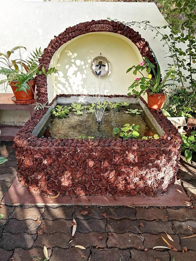 Apartamentos Jardim Funchal  Eksteriør bilde